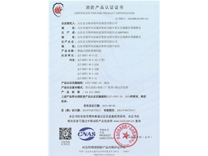 軸流式消防排煙風(fēng)機(jī)JLT(HTF)-W-I-12