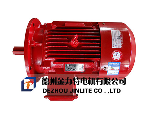 YE2系列高效節(jié)能高溫三相異步電動機(jī)