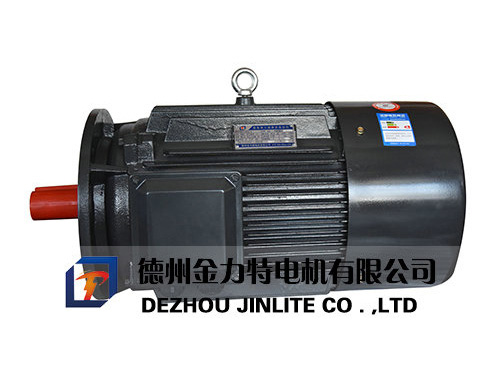 YD系列變極多速三相異步電動(dòng)機(jī)