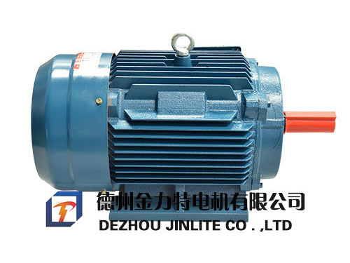 YDT系列變極多速三相異步電動機